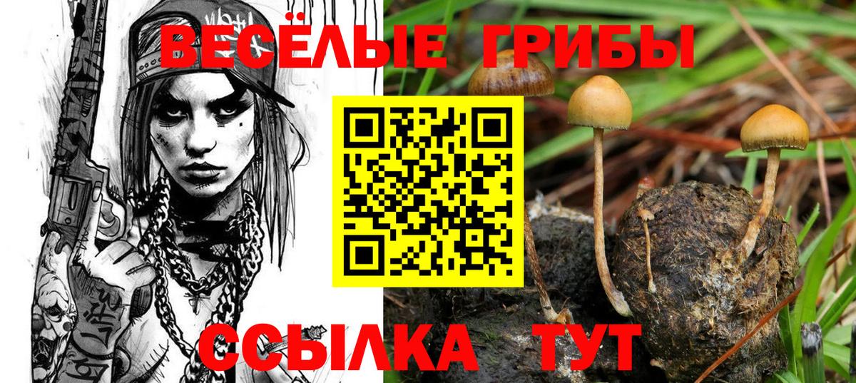 Котельники  Галлюциногенные грибы Psilocybine cubensis  Галлюциногенные грибы Magic Shrooms  Вход с VPN 