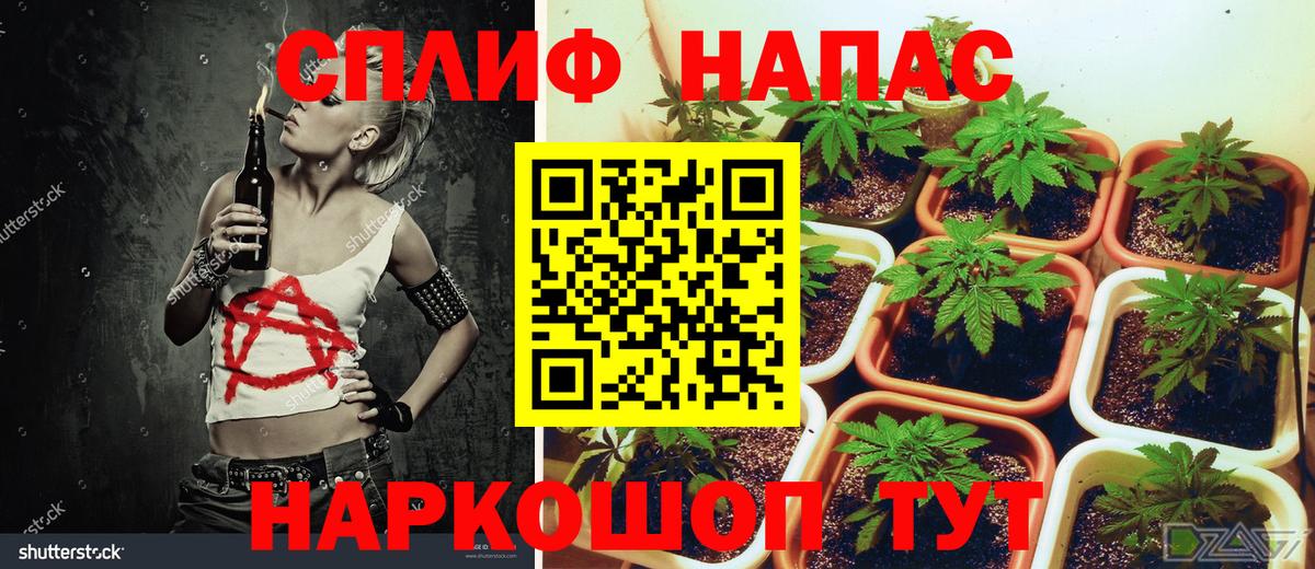 Каннабис VHQ  Каннабис план  Марихуана VHQ  Котельники  Вход с VPN  Каннабис семена 